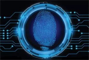 Fingerprint identification