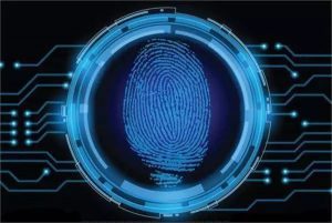 Fingerprint-identification